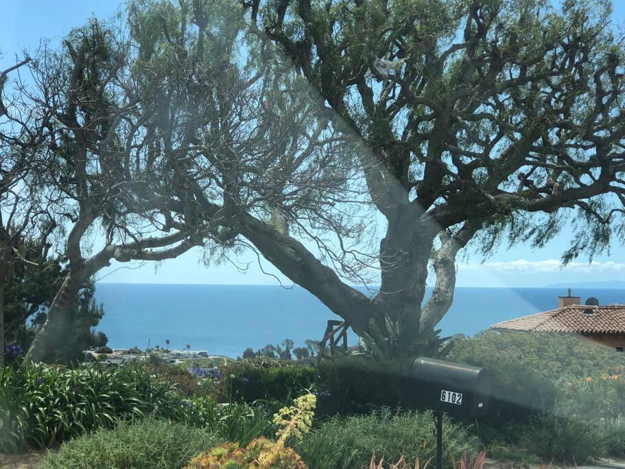 30 Pct Off!! Limited Time! Malibu Charming Getaway With King Bed, Near Beach 외부 사진