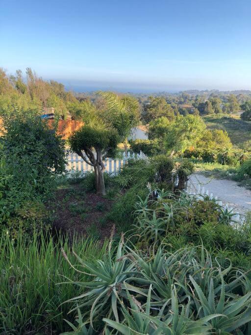30 Pct Off!! Limited Time! Malibu Charming Getaway With King Bed, Near Beach 외부 사진